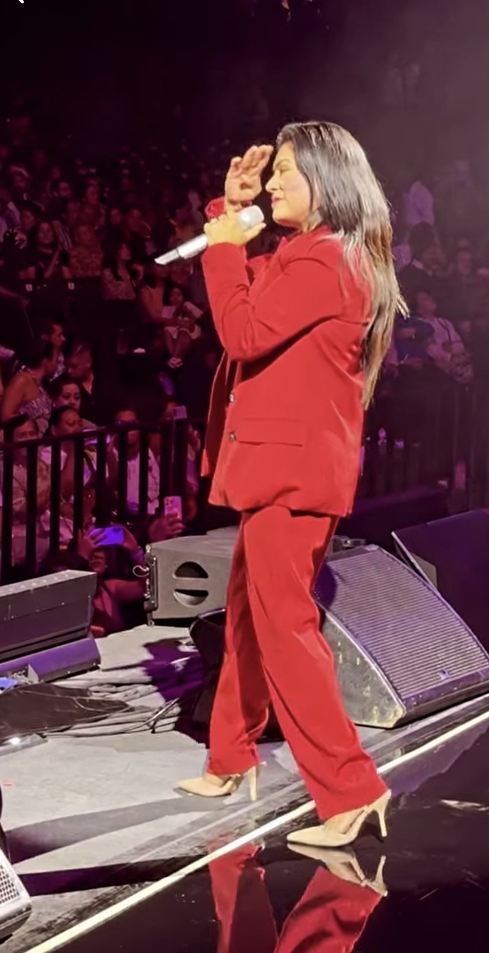 Rosario del Valle en escena durante un show contratado